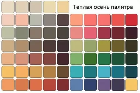 Color Tree Tardor (122 fotos): exemples d'imatges, com triar un color en roba per a armari de càpsula, opcions de maquillatge 15879_20
