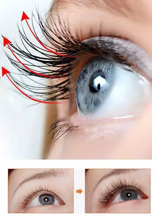 Beautiful eyelashes: how to make cilia beautiful? Natural painted eyelashes, care and use of funds 15888_32