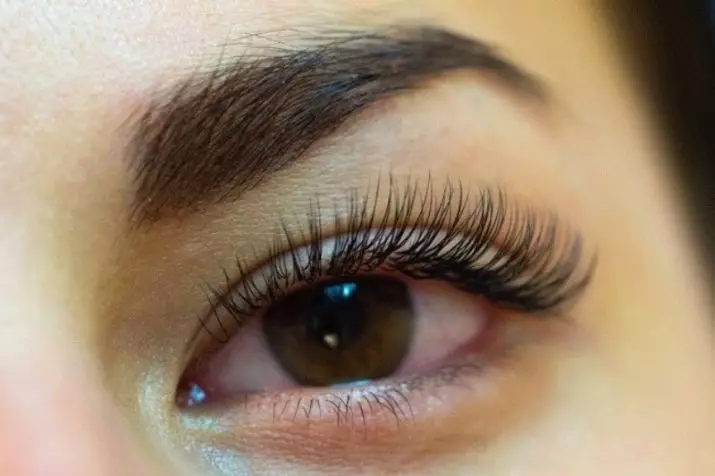 geniş eyelashes, z və birds digər formaları növləri: (66 photos) tikinti üçün eyelashes flashing. fərq nədir və fərq nədir? Necə seçmək olar? 15928_18