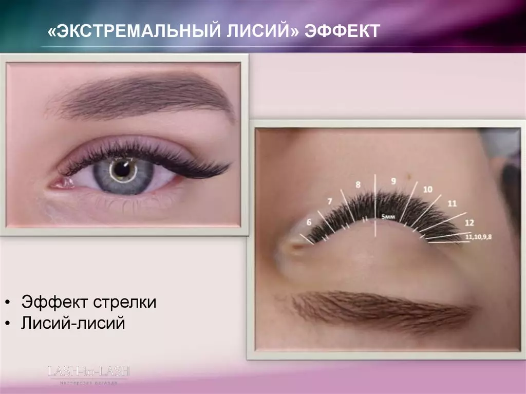 eyelashes ilə Lisys Effect (74 photos): 2D, 3D və sxemi, tikinti klassik proseduru sonra bend L və M, Caltic qayğı ilə 
