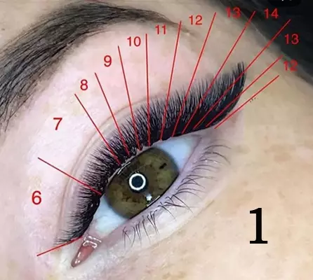 Lisys在睫毛中的影響（74張照片）：2D，3D和經典建築計劃，“福克斯的觀點”，彎曲L和M，Caltic Care在手術後 15935_8
