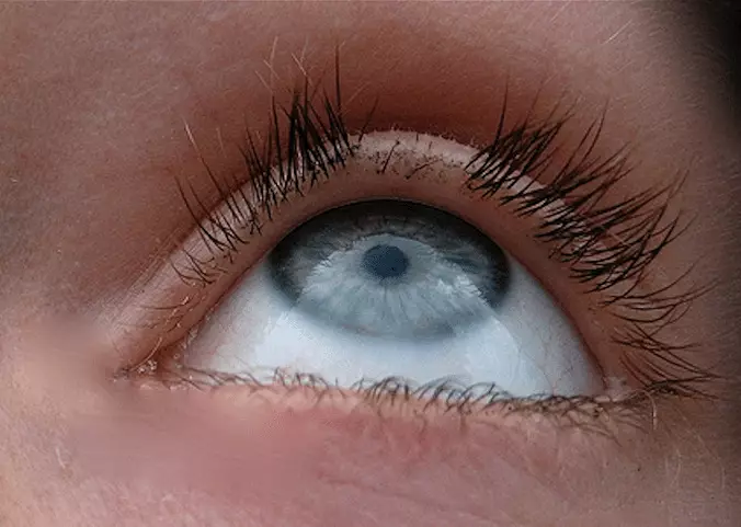 eyelashes 2D (ဓာတ်ပုံ 83) - စွမ်းဆောင်ရည်မြှင့်တင်ခြင်းအပြီးတွင်အကျိုးသက်ရောက်မှု 2D, 15936_22