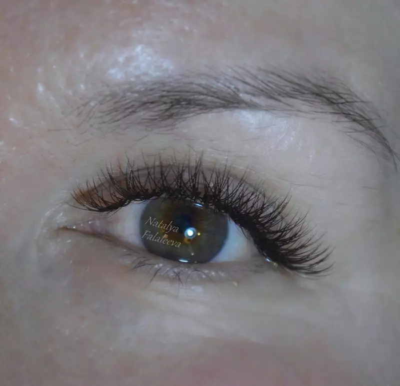 eyelashes 2D (ဓာတ်ပုံ 83) - စွမ်းဆောင်ရည်မြှင့်တင်ခြင်းအပြီးတွင်အကျိုးသက်ရောက်မှု 2D, 15936_5