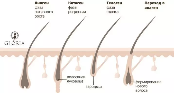 דפילציה (15 תמונות): מה זה? איך לעשות רגל ידית יד בבית? מינים, מתכונים, קרמים וג'לים לאחר הדירוג 15998_4