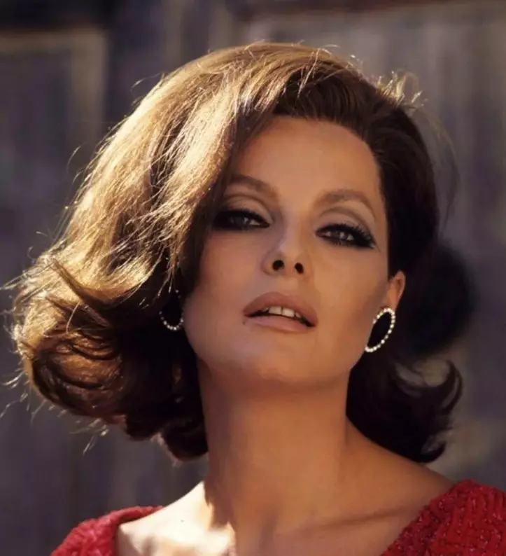 Makeup i stil med 60'erne: hvordan man laver makeup i stilen i Sovjetunionen i 1960'erne? Grundlæggende funktioner og valg af farvepalet 16020_2