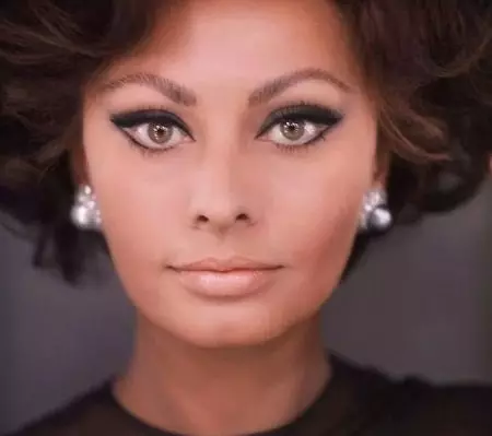 Makeup i stil med 60'erne: hvordan man laver makeup i stilen i Sovjetunionen i 1960'erne? Grundlæggende funktioner og valg af farvepalet 16020_8