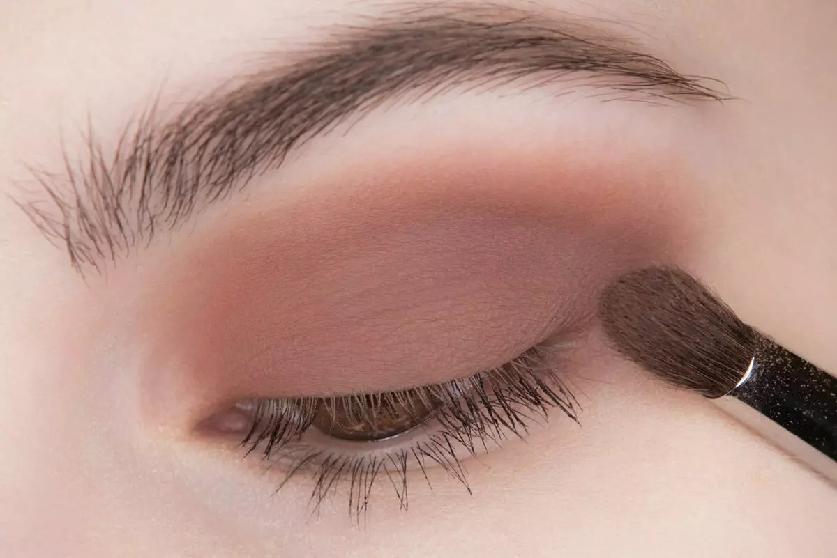 Make-up voor donkere ogen (43 foto's): Gemakkelijke make-up voor ferro-ogen en mooie stapsgewijze simpele avondoptie 16081_33