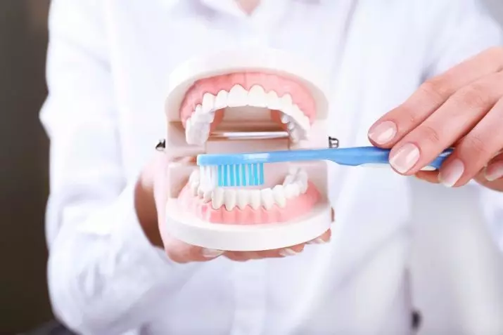 Higienos burnos ertmė (25 nuotraukos): tinkamos dantų priežiūra. Burnos ertmės, individualios higienos ir komplekso lėšų ir įrenginių galimybės 16129_25