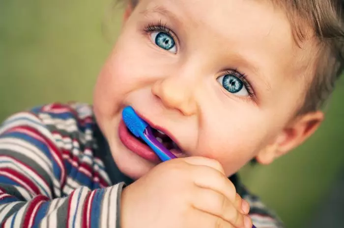 1 سال میں اپنے دانتوں کو اپنے دانتوں کو کیسے برش کریں؟ ایک سالہ بچے دانت کی صفائی کیسے سکھائیں؟ ان کو صاف کرنے کے کتنے بار؟ 16137_9