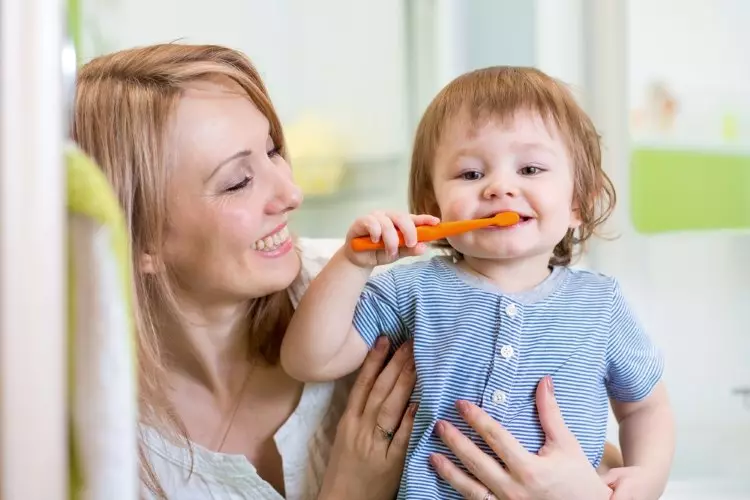Wanneer begint te poetsen baby? Hoe oud kan het kind gewend zijn aan volwassen tandpasta? Hoeveel jaar heb je nodig om een ​​kwekerij te gebruiken? 16139_3