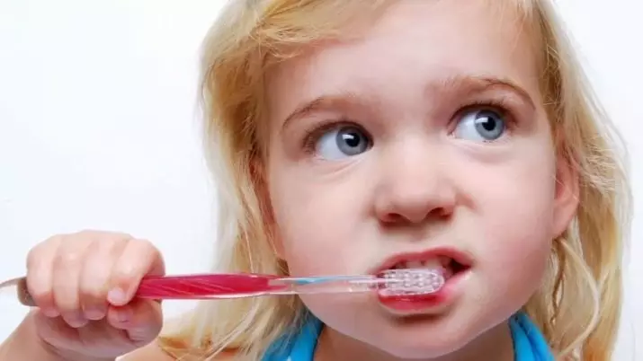 Hoe om tande te borsel aan kinders? Sorg vir die eerste tande in die baba tot die jaar, die tande skoonmaak tegniek in die baba in 2 jaar, die reëls vir die ander ouderdom. Hoeveel tyd het jy nodig om jou tande te borsel? 16141_9