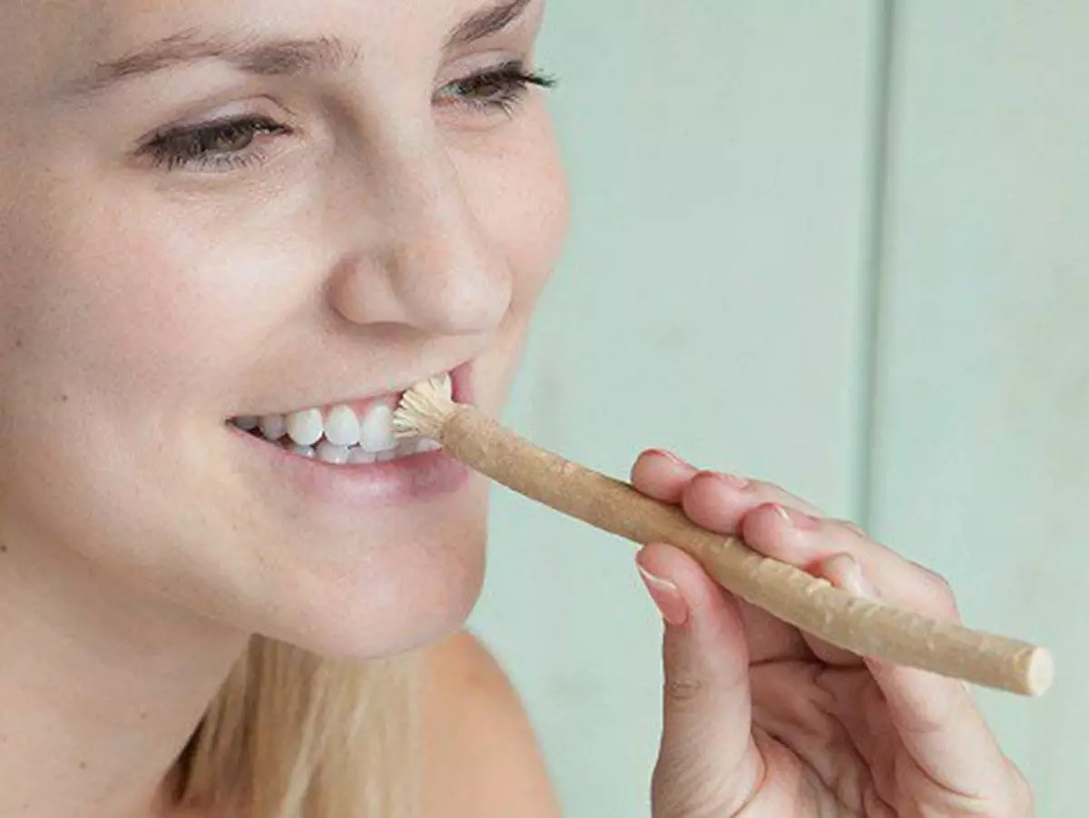 SIVAK (MISVAK): Kuidas kasutada söögipulgad hammaste puhastamiseks? Moslemi harjade kasulikud omadused Puu-Misak, ülevaateid 16146_32