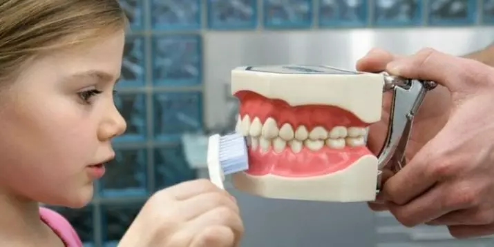 Kuinka opettaa lapsen harjata hampaita? Kuinka opettaa sitä puhdistuskalenterin ja lasten ajastimen avulla 2-3 vuotta? Oppimishygienia, jos hän ei halua 16153_14
