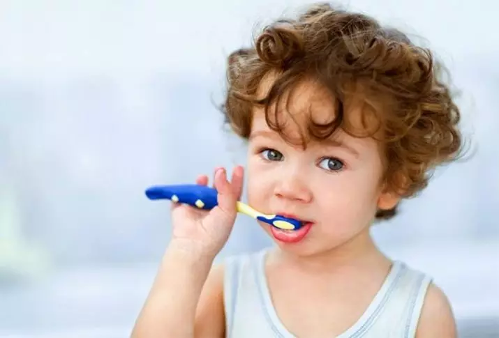 วิธีการสอนให้เด็กแปรงฟัน? วิธีการสอนด้วยความช่วยเหลือของปฏิทินการทำความสะอาดและจับเวลาเด็กใน 2-3 ปี? สุขอนามัยการเรียนรู้ถ้าเขาไม่ต้องการ 16153_21
