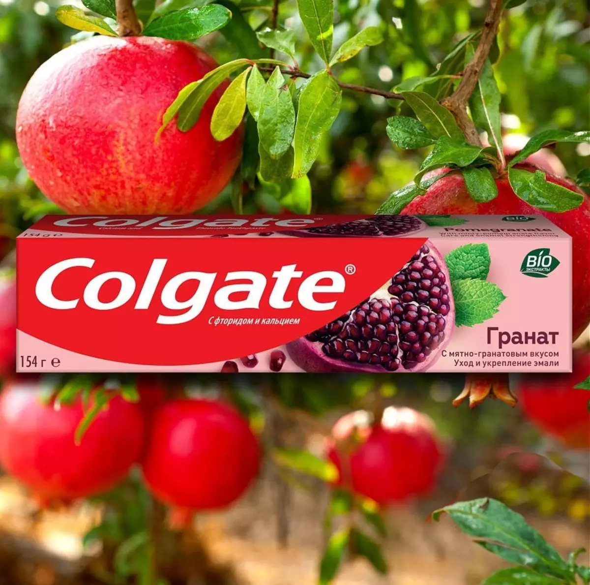 Colgate sesepa sa meno (73 photos): Sebopeho, 