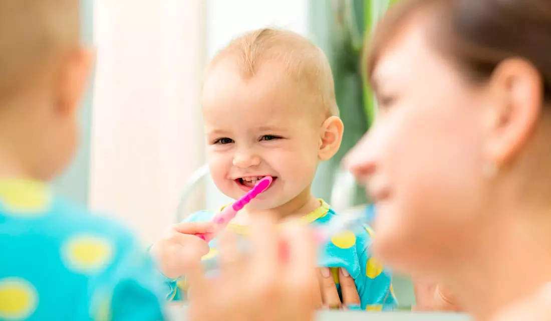 pasta de dientes de los niños Weleda: composición del gel de pasta para los niños. A partir de qué edad se puede usar? Revisión Opiniones 16175_3