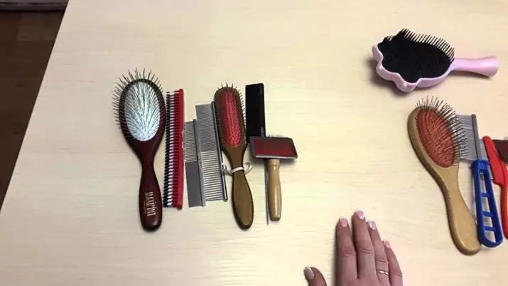 Кој чешел е подобар за коса (36 фотографии): Како да се избере, најдобро и корисно за тенка коса, која треба да биде, која коса не им наштети, осврти 16536_21