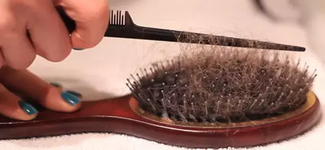 Bingkai nganggo bristles asli (39 foto): Cara milih model kanggo nyikat rambut, bunder kanthi celengan jaran, review 16539_36