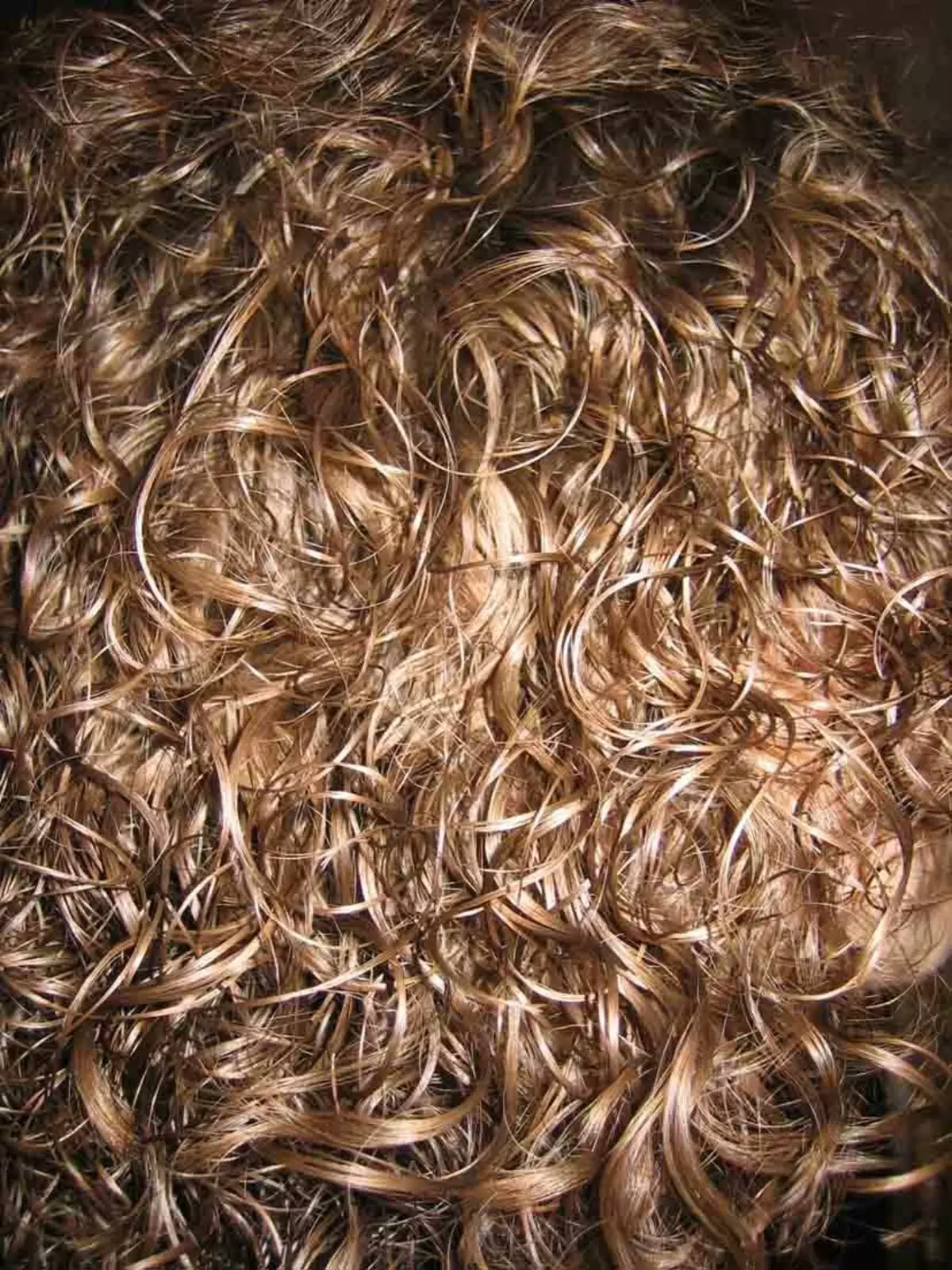 Hair Biosava sobre cabelo medio (57 fotos): Como facer unha gran, lixeira e outra bioquímica de pelo medio de lonxitude? Colocar o peiteado 16638_25
