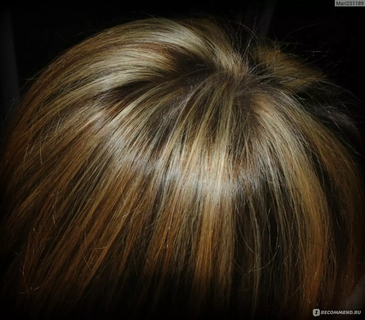 집에서 머리카락을 칠하는 방법은 무엇입니까? 32 사진 어둡고 밝은 연삭 뿌리의 적절한 그림 16671_32
