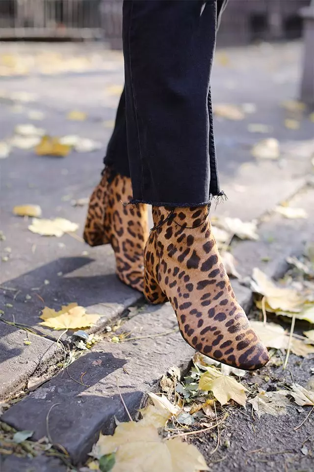 Half-Boots Wanita (76 Foto): Apa yang memakai warna putih, merah dan warna lain, getah dan kulit, model sukan tanpa tumit dan lain-lain? 1678_44