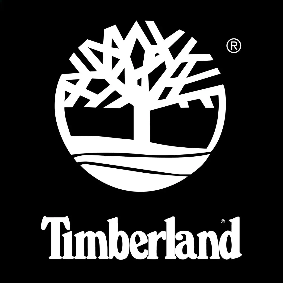 Timberlands (62 foto's): Kies laarzen en sneakers timberland, lederen schoenen - herfst, met bont en andere. Hoe onderscheid je Amerikaanse originele Timberlands van nep? 1683_9