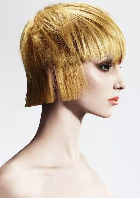 Подвійне каре (29 фото): особливості зачіски з чубчиком, варіанти стрижки для дівчат з довгими і середніми волоссям. Укладання зачіски з філіровкою 16902_5