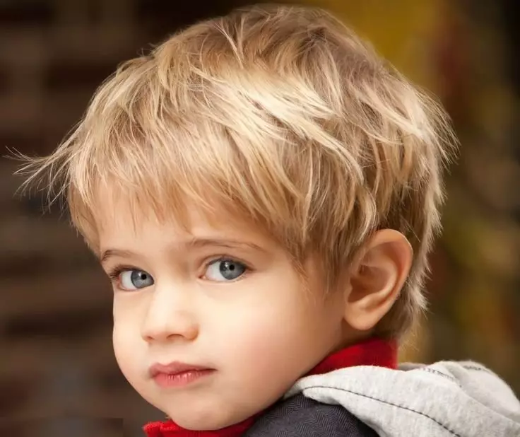 छोटे लड़कों के बाल कटवाने (43 तस्वीरें): बच्चों के लिए हेयर स्टाइल 2 साल, एक साल के लड़के के लिए ट्रेंडी बेबी हेयरकूट 16950_27