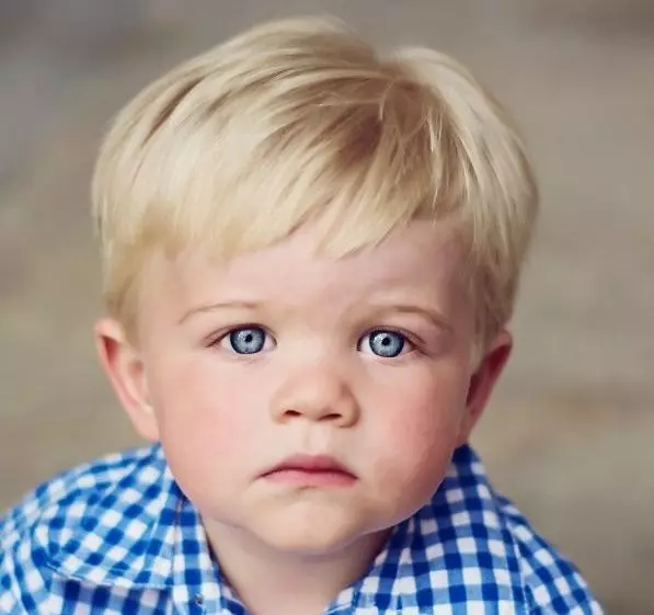 歳の男の子のための子供の2年間のヘアスタイル、流行の赤ちゃんのヘアカット：小さな男の子のヘアカット（43枚の写真） 16950_3