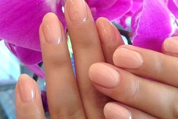 Gentle Manicure Shellac (36 Foto): Nada pastel pada kuku. Beige, merah jambu dan lain-lain warna terang dalam reka bentuk manicure 17002_9