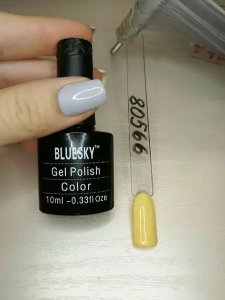 Bluesky Gel Lacquer (106 argazki): Koloreen konposizioa eta paleta, estalduraren iraupena, masterraren berrikuspenak 17008_11