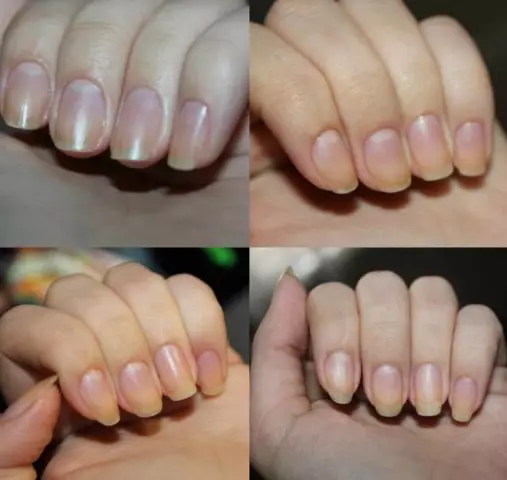 مینیکیور کے لئے کیل سائز (38 تصاویر): ہاتھوں پر ناخن کے مختلف اقسام کی خصوصیات، مینیکیور اسکیم 