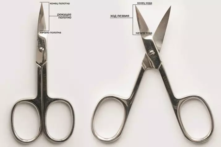 Ножици за маникюр (21 снимки): Инструмент за заточване на ноктите и кожичките на zinger у дома. Най-добрите професионални фирми 17070_5