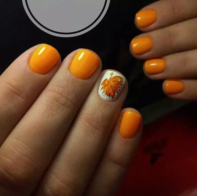 Дизайн на портокалови нокти (57 снимки): Маникюр с кристали и пайети в теракота, моркови и червени тонове 17227_10