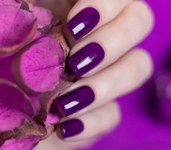 紫色修指甲（109張照片）：釘子裝飾清漆黑暗和白色紫色，美麗的修指甲ombre 17245_35