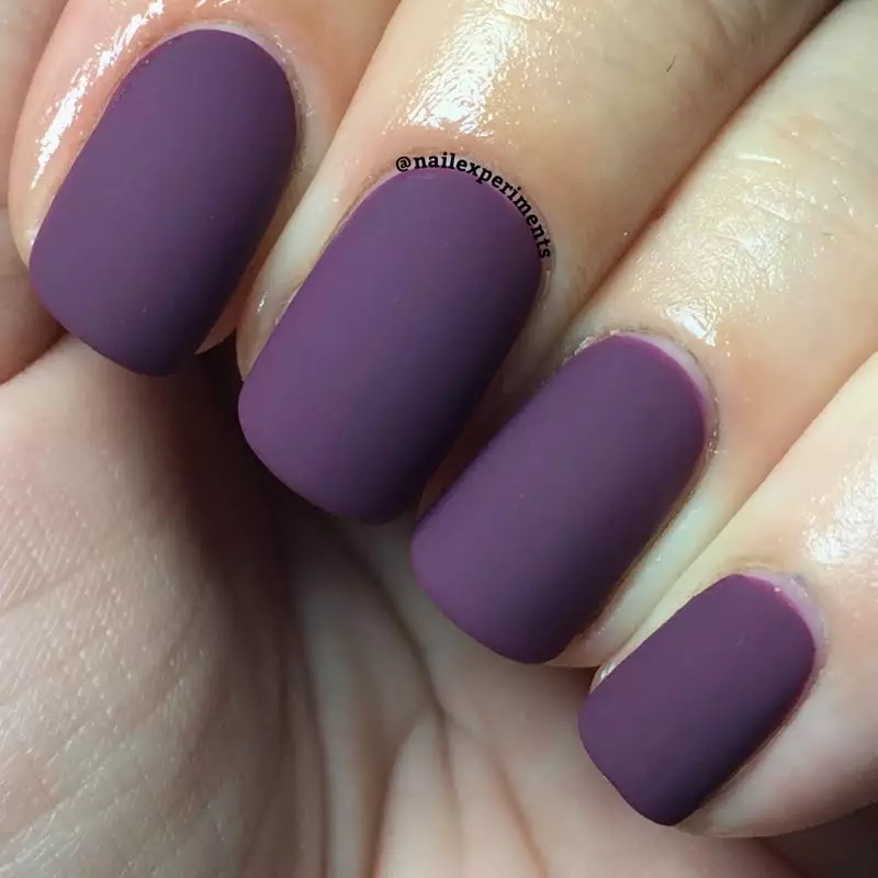 紫色修指甲（109張照片）：釘子裝飾清漆黑暗和白色紫色，美麗的修指甲ombre 17245_43