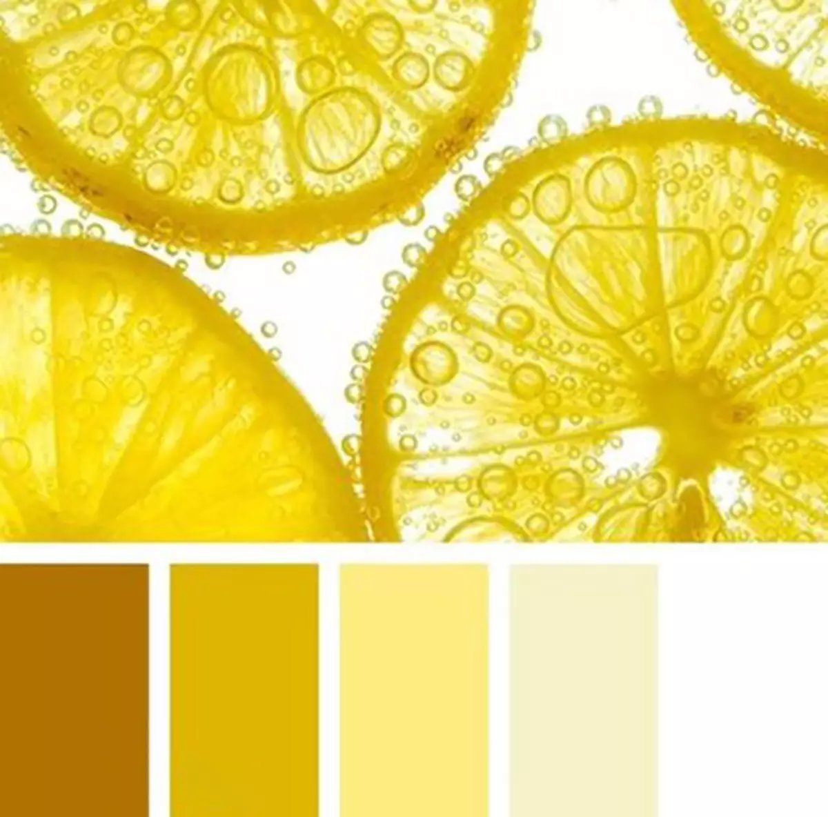 Farby Vastua: Farba sortiment v sektoroch severného a južného, ​​severovýchodného a juhovýchodného, ​​západného a druhého v byte, priaznivé a nepriaznivé farby 17296_23