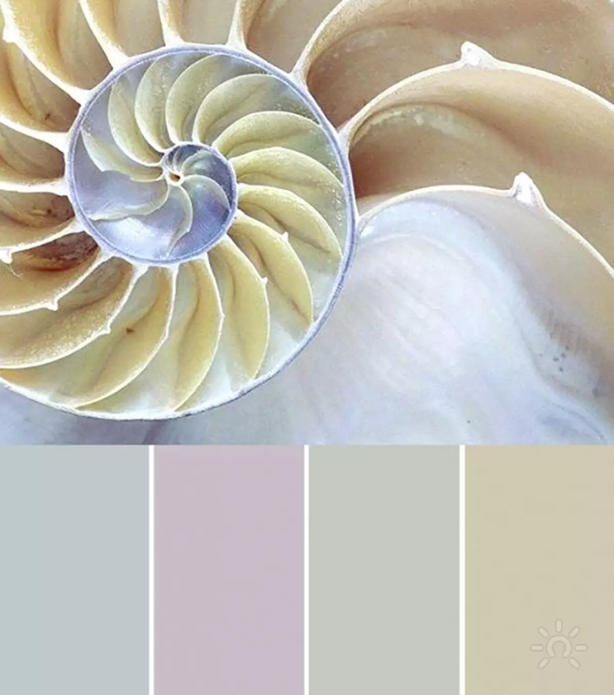 Farby Vastua: Farba sortiment v sektoroch severného a južného, ​​severovýchodného a juhovýchodného, ​​západného a druhého v byte, priaznivé a nepriaznivé farby 17296_4