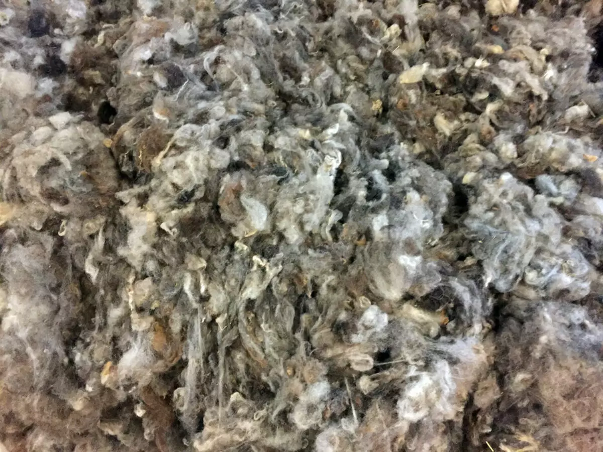 Yarn Dundaga: Apa itu? Tweed dan benang Baltik lain, pelbagai dan ulasan 17387_7