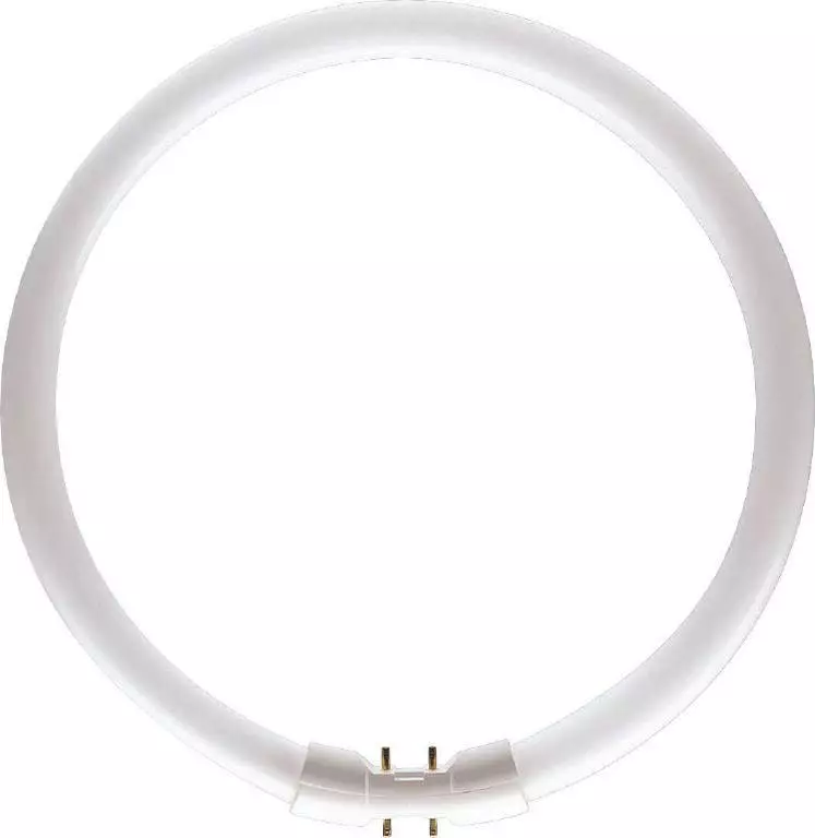 Ring lamp with remote control: how does it work and how to use it? How to connect the lamp? Models 32-36 and 54 cm with control panel for selfie, other options 17403_9