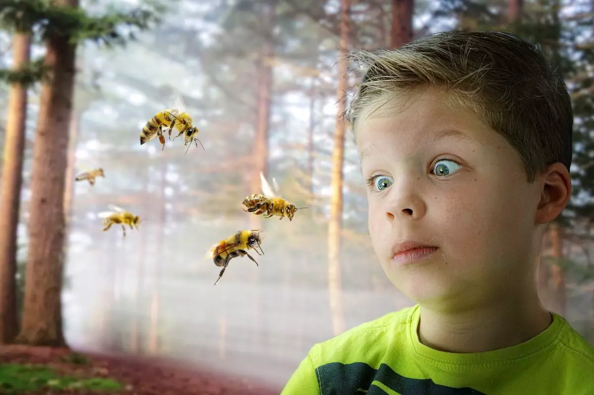 Нападение осы. Насекомые для детей. Насекомые летом. Пчела для детей.
