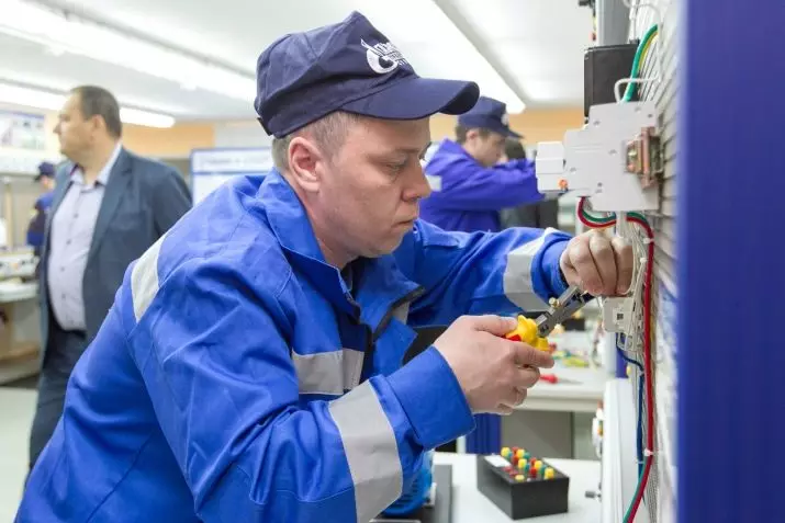 Components elèctrics per a la reparació i manteniment d'equips elèctrics: Professandard, deures a la feina, aprendre professió i salari 17762_2