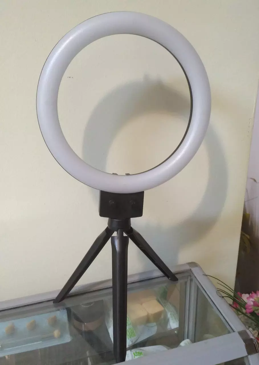 Ringlampen voor make-upartiest: Hoe een ronde LED-lamp kiest? Circulaire lampen-ringen op een statief, voor spiegels en anderen 17771_11