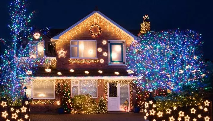 ახალი წლის LED მოღვაწეები: Glowing აკრილის და სხვა მოცულობითი მოღვაწეები ქუჩაში და სახლში, ლამაზი მაგალითები 18066_20