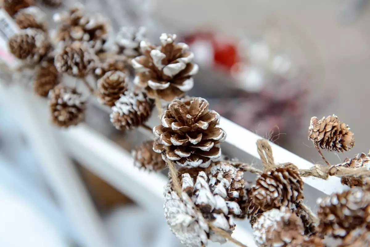 Hvernig á að skreyta herbergið fyrir nýtt ár? 74 Photo New Year's Skreytingar fyrir húsið, hugmyndin um innri hönnunar decor. Hvaða landslag er hægt að gera með eigin höndum? 18073_9