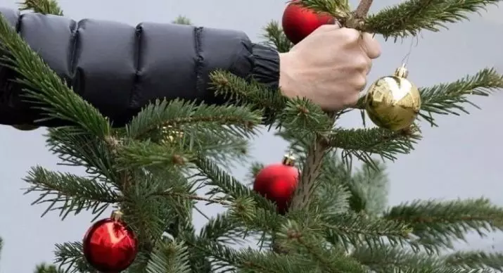 Kedy čistiť vianočný stromček? Na aký dátum musíte ho odstrániť po novom roku? Kedy môžem rozobrať umelý vianočný stromček? 18092_2