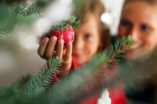 Wann soll der Weihnachtsbaum reinigt? Zu welchem ​​Datum müssen Sie es nach dem neuen Jahr entfernen? Wann kann ich den künstlichen Weihnachtsbaum zerlegen? 18092_4