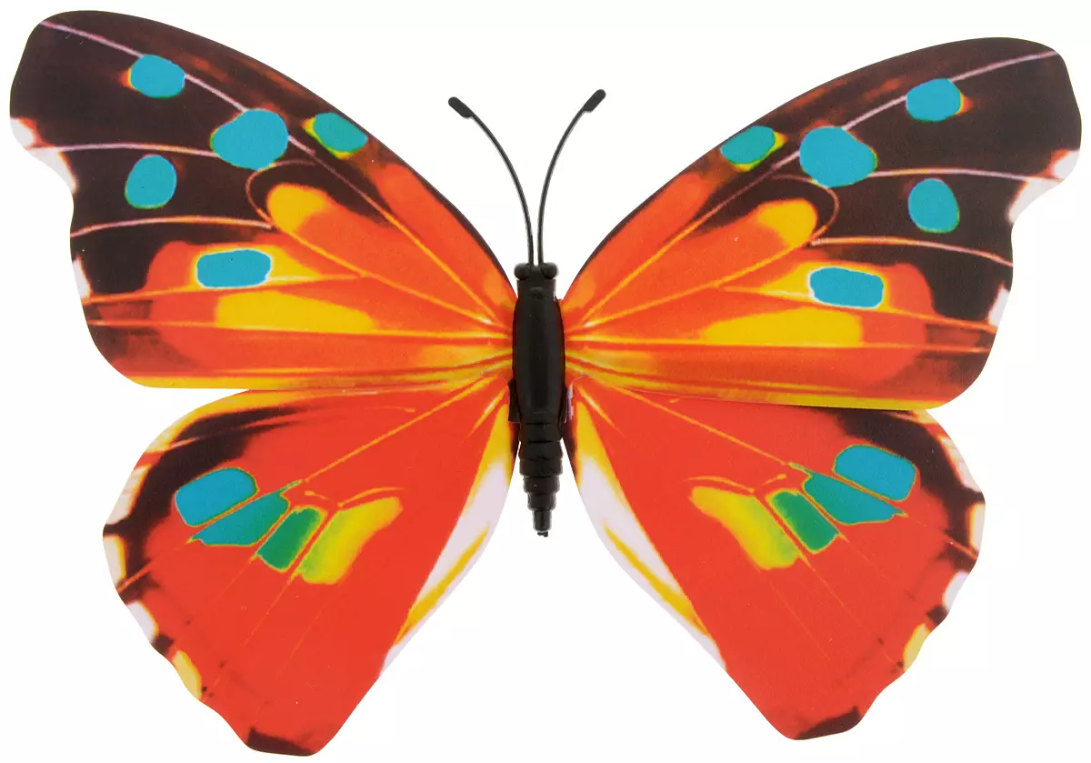 Кратко разноцветная бабочка