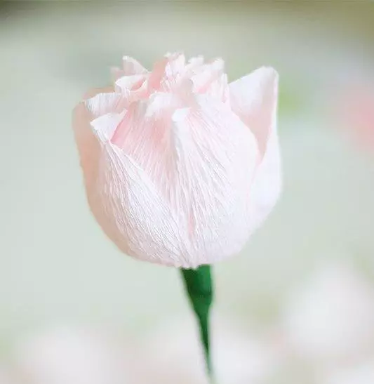 Blomster den 8. marts Gør det selv: Sådan laver du et håndværk fra bølgepapbor? Bouquet af farvet papir i en vase, tulipaner og andre muligheder 18183_42