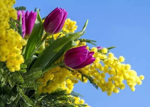 Virágok március 8-án: Mit adnak a lányok és a nők? Mi jobb, ha feleségem adni? Mit adnak el általában? Miért lehetséges a tulipánok megadása? 18190_2